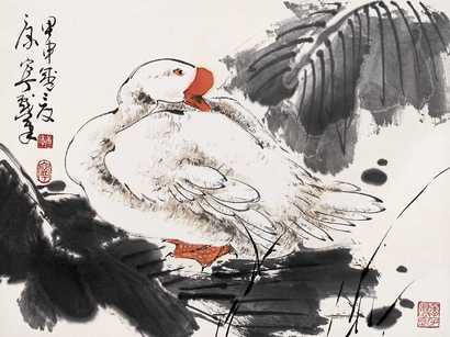 康宁 鹅 托片
